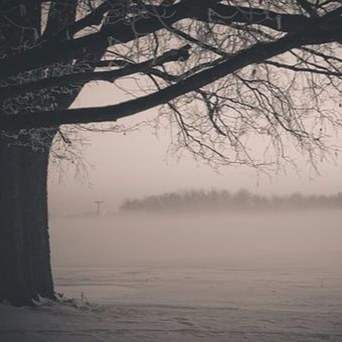 D O N T " T R U S T " H E R