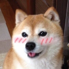 Wizard - Leaving (feat. Dane Jurous)