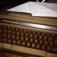 Goodbye, Little Bird.