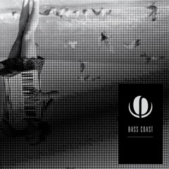 Live at Bass Coast 2016 Mix Series