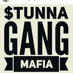 I PUT THAT ON STUNNA BY:D100