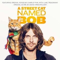 A Street Cat Named Bob - Looking For Paradise
