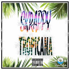 PUZZLE XIII - TROPICANA