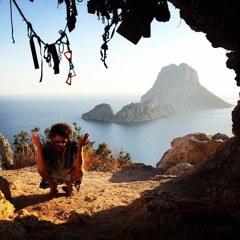 harami tracks trip buzz