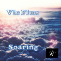 Soaring