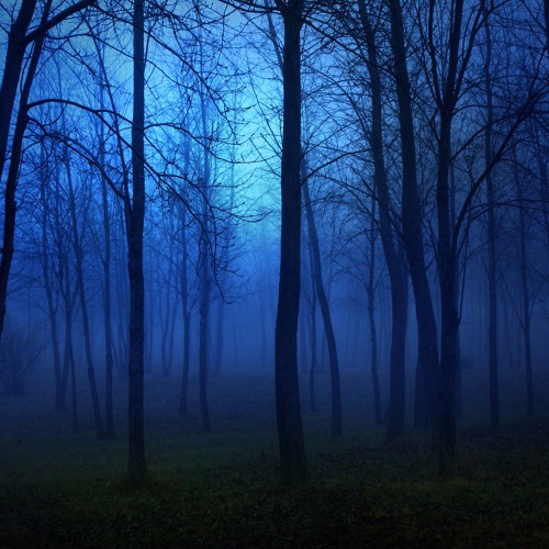 PAMPER (Francois Pierre Morin & Alfonso Llorente)(COLLAB)