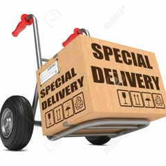 Special Delivery Freestyle