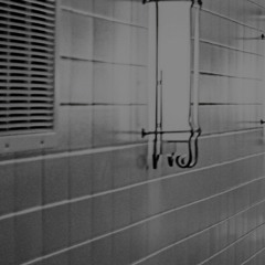 The search / Video Game