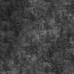 Sex - The 1975 (Cover by Daniel Carbone)