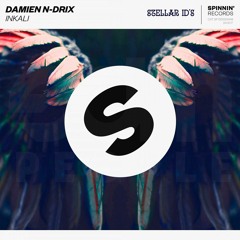 Damien N-Drix — Inkali