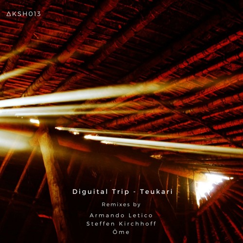 Diguital Trip Ft. Grand Lamat - Agua De Sangre (Steffen Kirchoff Remix)