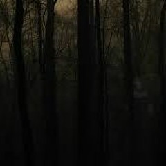 Hyeseong Sound art Mix(1st)