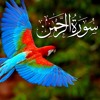 Surah Ar Rahman With Urdu Translation, Listen & Download MP3 Audio Online