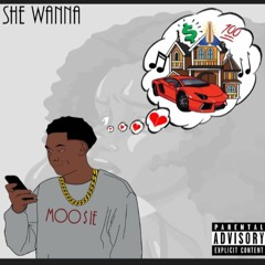 She Wanna [Prod. by @FinesseTheProducer and @PastorMacHenson]