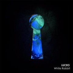 Luceo - White Rabbit