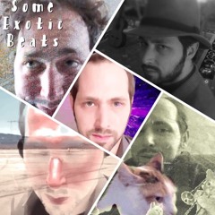 And Now For Something Completely Different - Some Exotic Beats - Mark Woodyatt