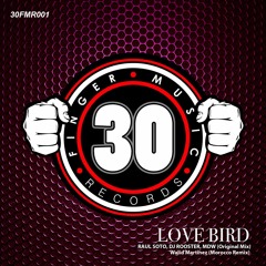 Love Bird - Raul Soto, DJ Rooster, MDW (Walid Martinez Morocco Remix)