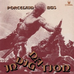 Porcelainbus-Indignation-finalXmaster 12112017