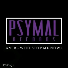 Amir - Who Stop Me Now (Dylan De Ponte Remix)*FREE DL