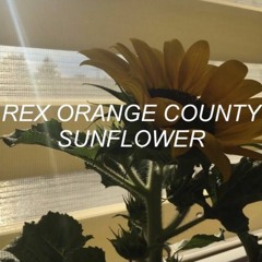 Rex Orange County - Sunflower (slowed)