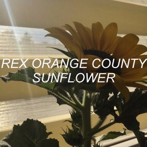 Rex Orange County Sunflower Slowed By Rhiannonshae On Soundcloud Hear The World S Sounds