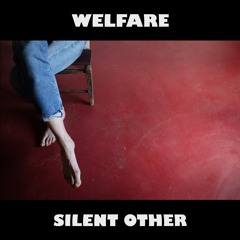 WELFARE "Sadie"  (Radio Edit) VLOO2
