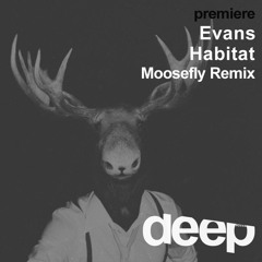 premiere: Evans - Habitat (Moosefly Remix) Upon Access