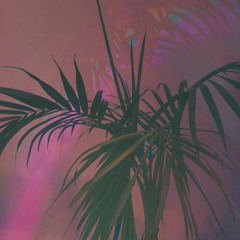 HAUTE COUTURE - NEW RULES