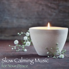 Meditation Relax Club - Bird Of Paradise | Healing Music