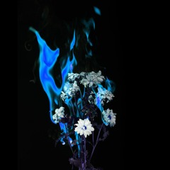 Burn Slow (w/ Julien Journet)