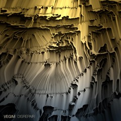 Vegim - Disrepair