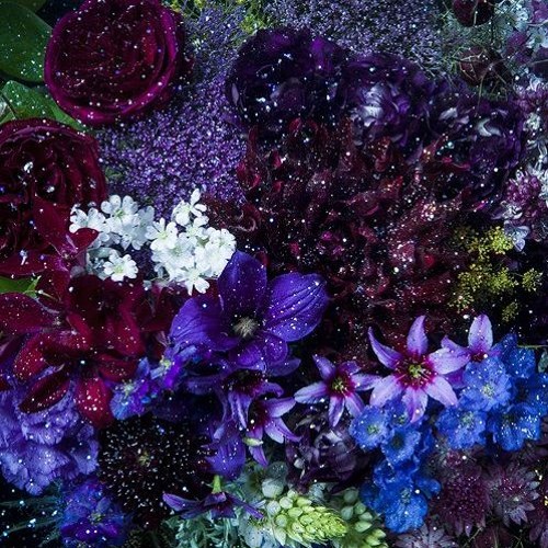 Stream Aimer 星屑ビーナス Hoshikuzu Venus Piano Short Ver Cover By Foxshley By Foxshley Listen Online For Free On Soundcloud