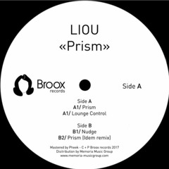 Premiere :  Liou - Nudge (BRX04)