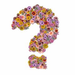 Ask Me Anything - Facebook vs. Instagram, Client Growth & Too Many Passions