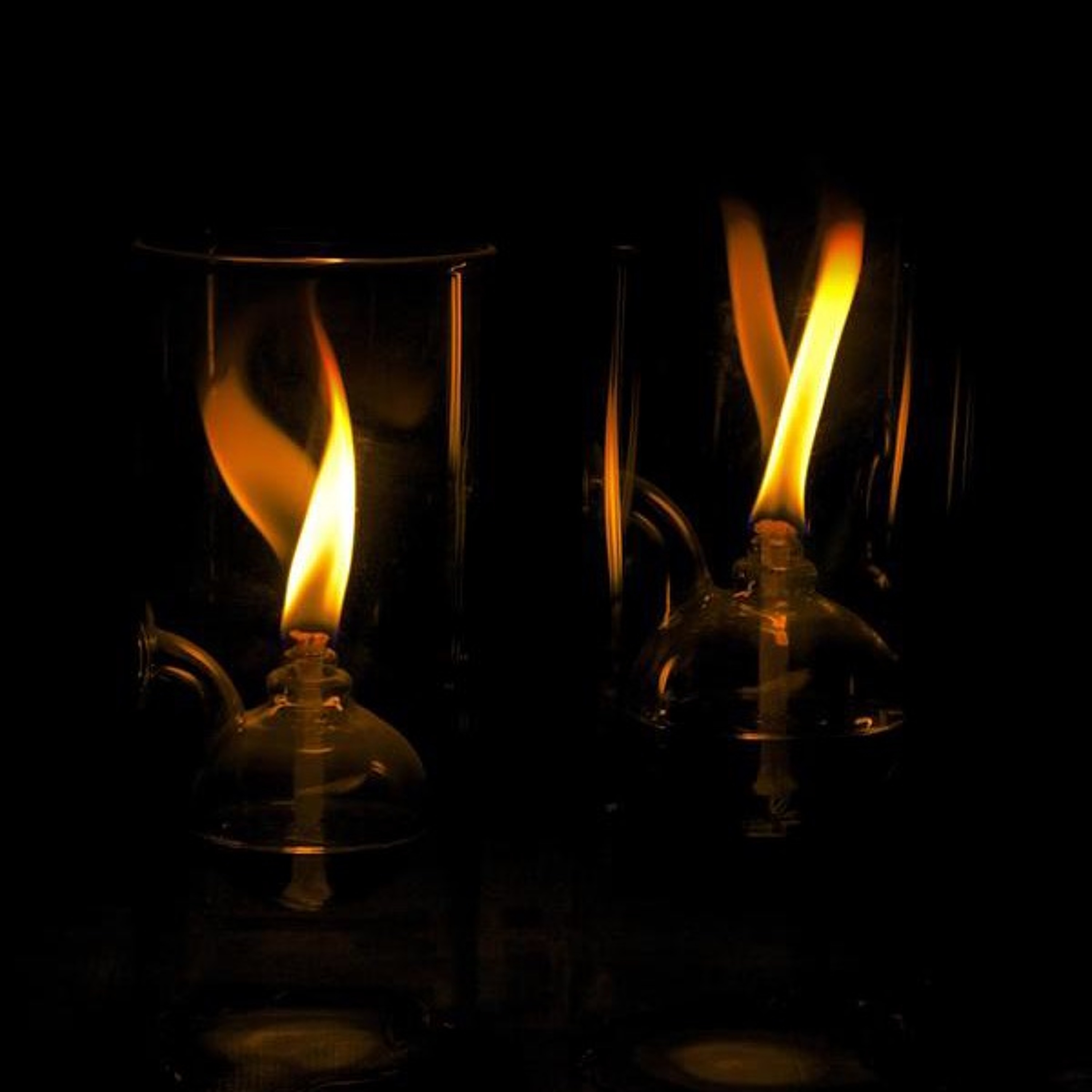 The Importance of Oil - Homily for November 12 episode artwork