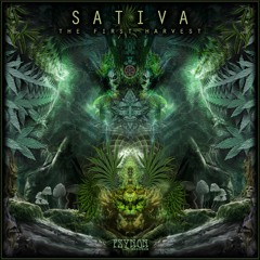 Sativa - The First Harvest EP - Minimix