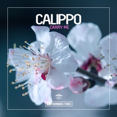 Calippo - Into The Beat