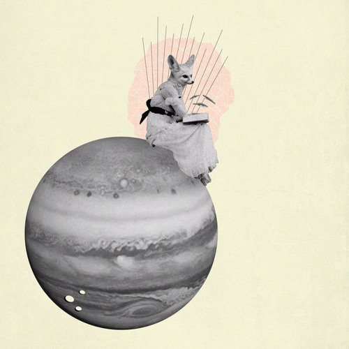 Premium - ✗ ✗ ✗