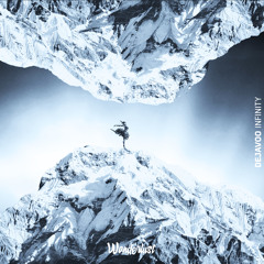 Dejavoo - Infinity