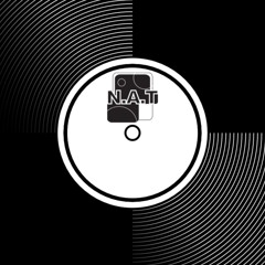 N.A.T - 12" 1 Sided White Label Version 2 (Vocal Mix)