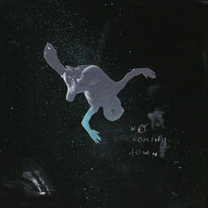 NGHTMRE feat. Alex Wiley & Sky Montique - No Coming Down
