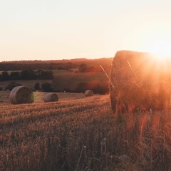 Golden Hour