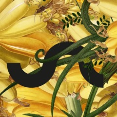 Live @ Unsound Festival Krakow 2017