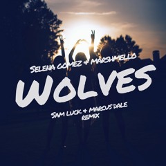 Selena Gomez, Marshmello - Wolves (Sam Luck & Marcus Dale remix)
