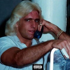 King Mal - Nature Boy Brick Fair (Prod by. Kyler Black)