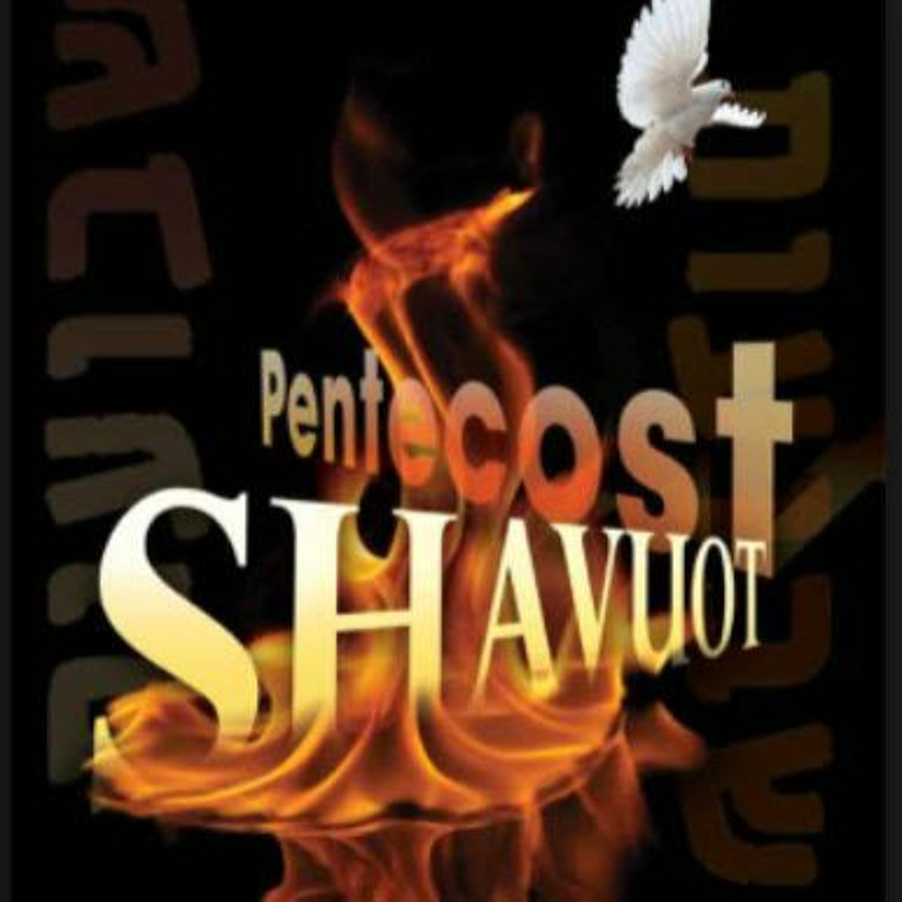 HHMI ~ Themes of Shavuot ~ Pt 3 ~ A Wedding Proposal and Betrothal episode artwork