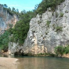 Retour aux sources
