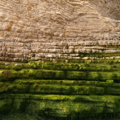 .I Stood In A Field