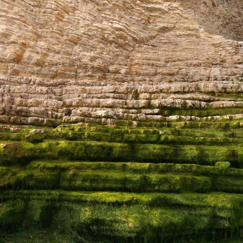 B. Dimlit Wet Night Fields