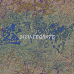 Disintegrate (prod. ElectricWave)